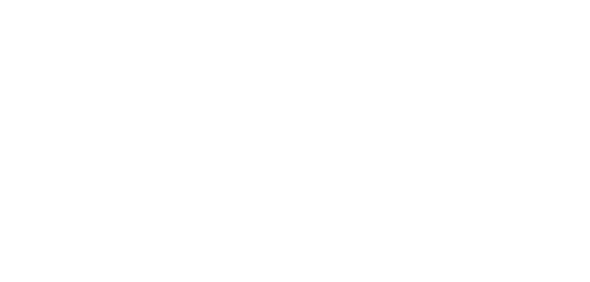 Pure Surfcamps Logo